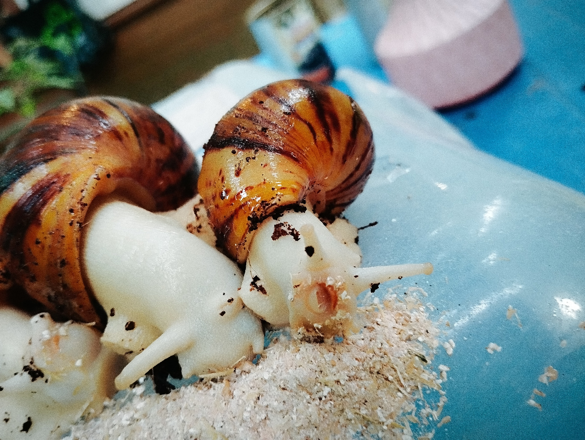 Ам! (Мое фото)