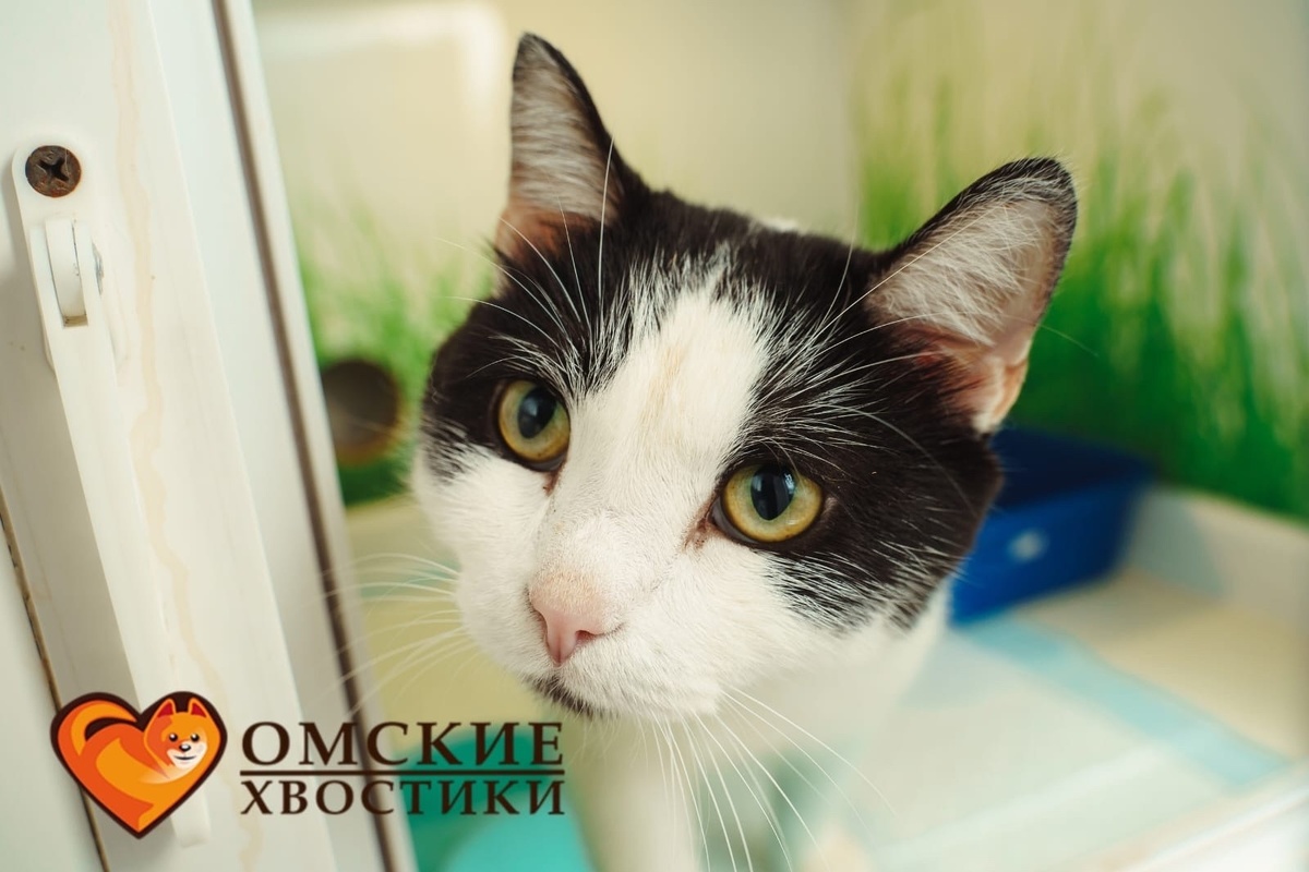  Яркий луч любви и оптимизма!