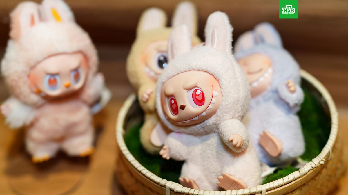    Фото: Declan Sun / unsplash.com