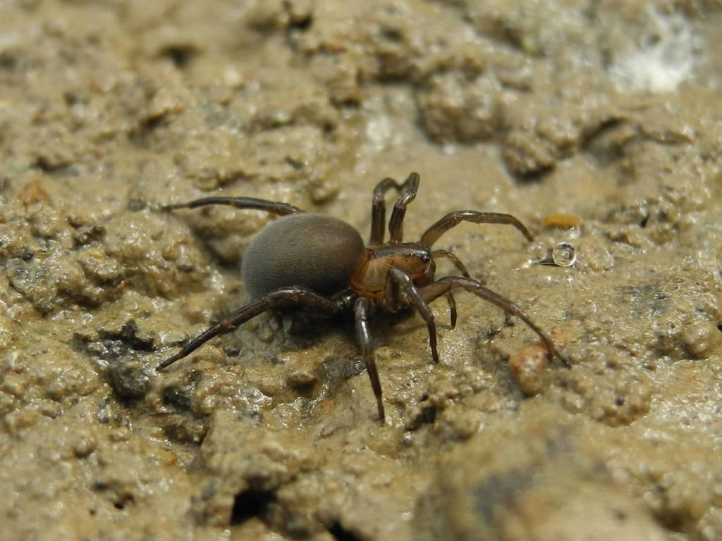 Чего вы кричите? Я просто позагорать вышел! 