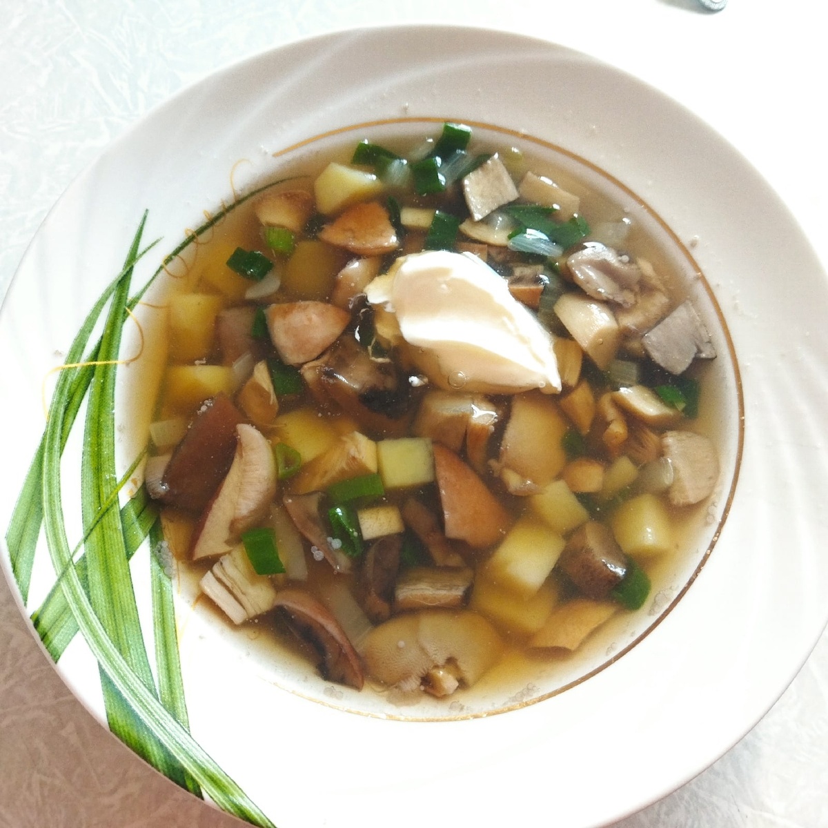    Опасность в вашей кастрюле - из каких съедобных грибов не стоит варить суп