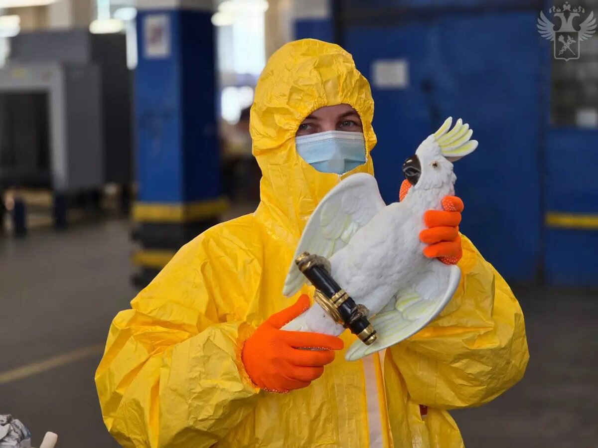    Фото: пресс-служба ФТС России