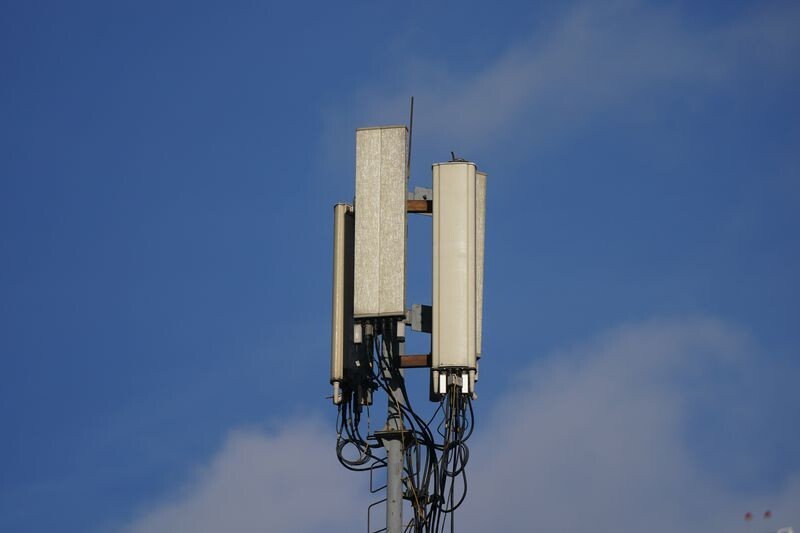     / Источник: © ИЗВЕСТИЯ/Эдуард Корниенко