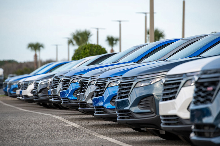    Фото: Dolores M. Harvey / Shutterstock.com