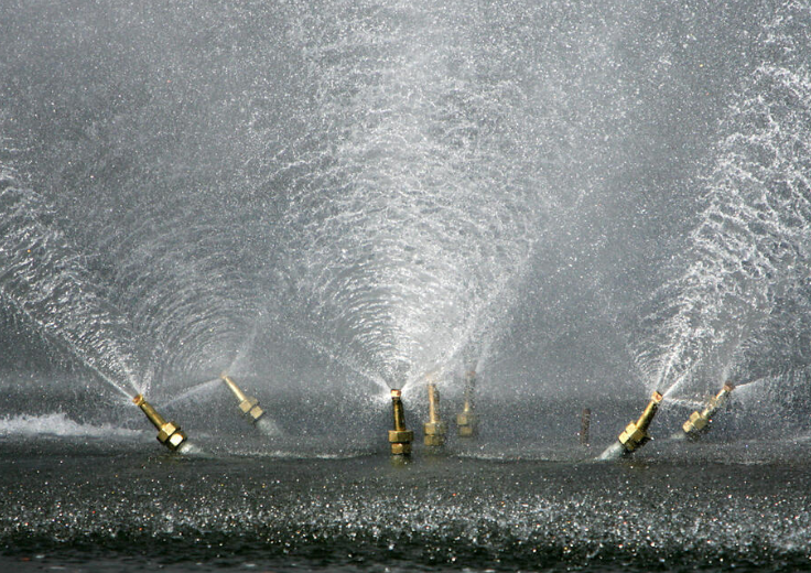 Фото - https://fonwall. ru