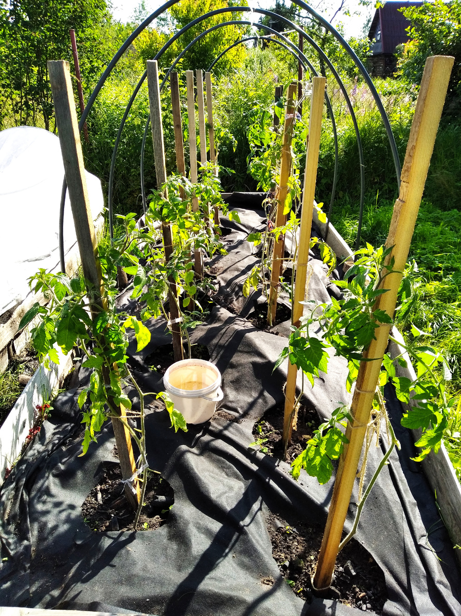 Фото автора 