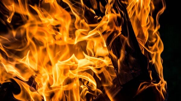    © Фото : -gregg- / flickr