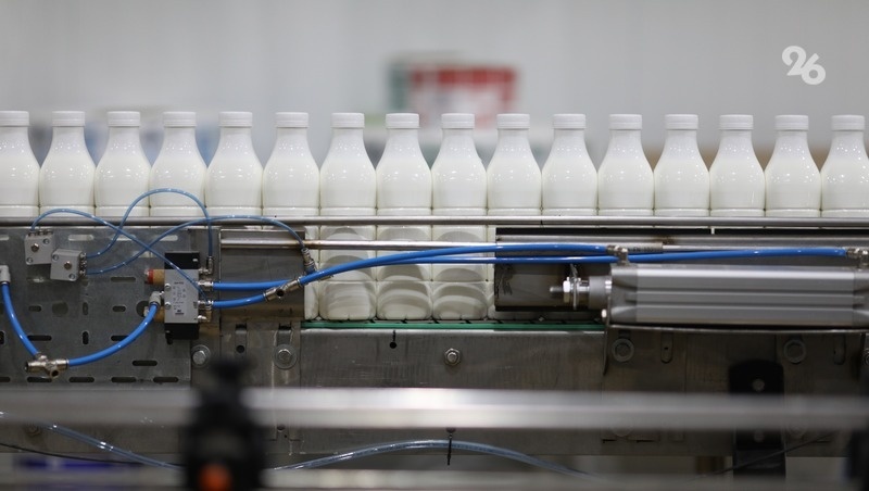      Фото: Дмитрий Ахмадуллин / / ИА «Победа26»