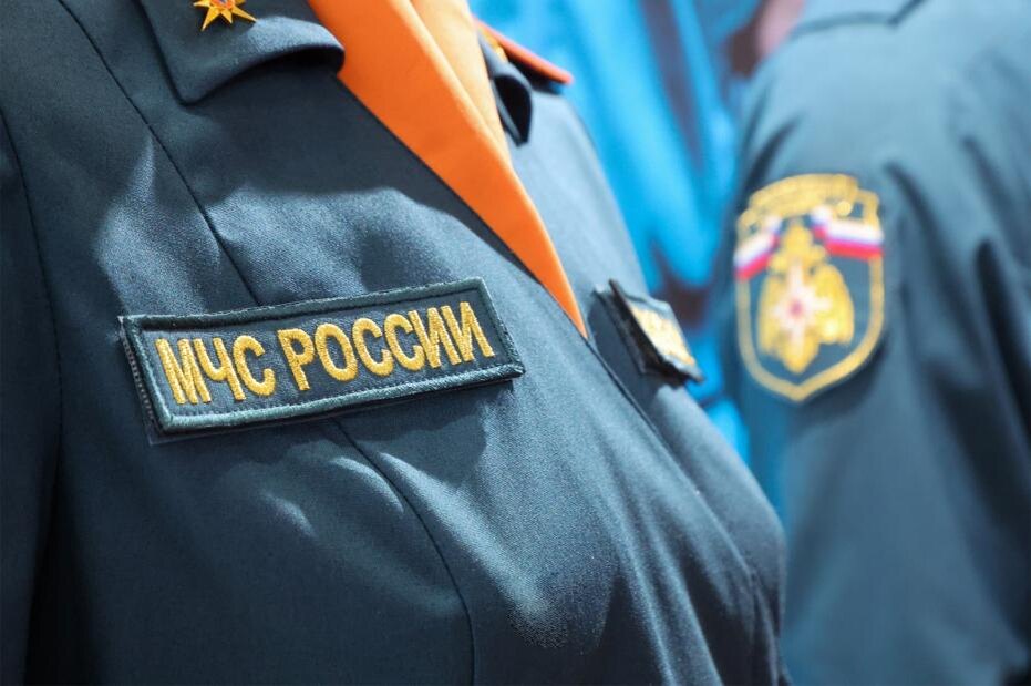    Алексей Белкин/NEWS.ru