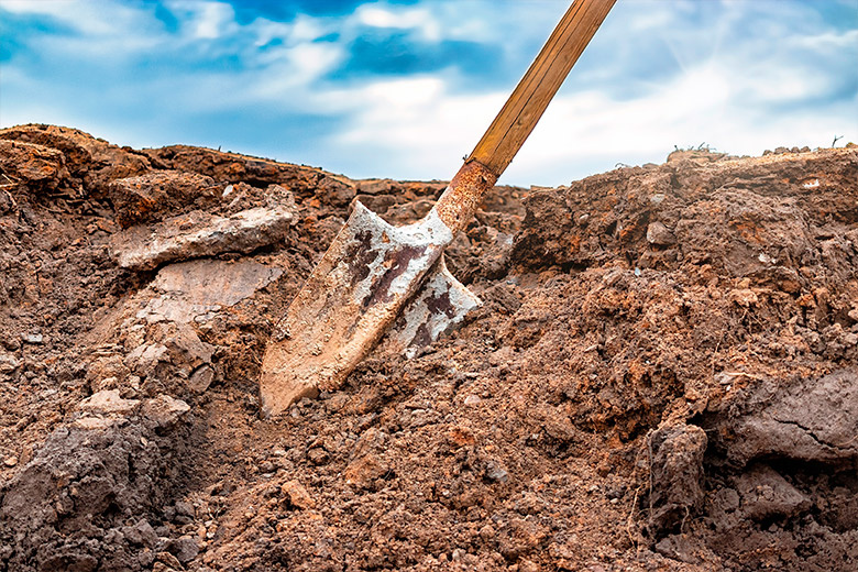    Shutterstock/FOTODOM