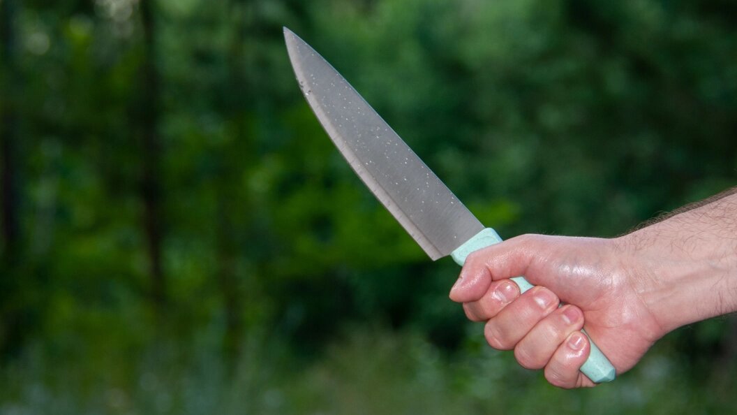    фото: Svetlana Vozmilova/Global Look Press