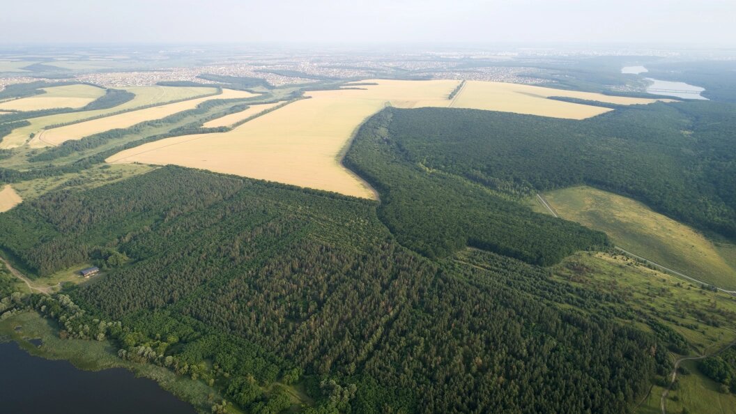    Nikolay Gyngazov/Globallookpress