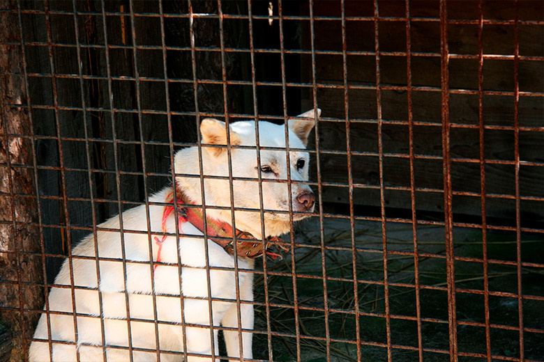    Shutterstock/FOTODOM