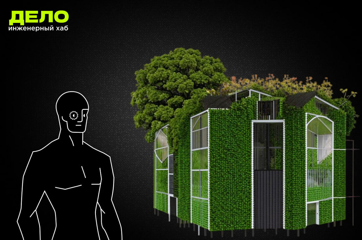 Реально ли выращивать дома из деревьев?