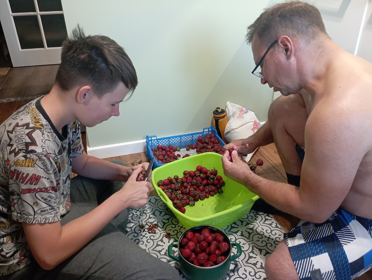 Сидят, чистят. 