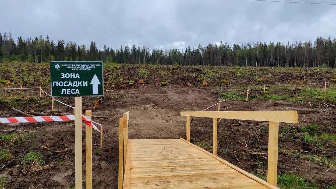 Фото: комитет по природным ресурсам Ленобласти