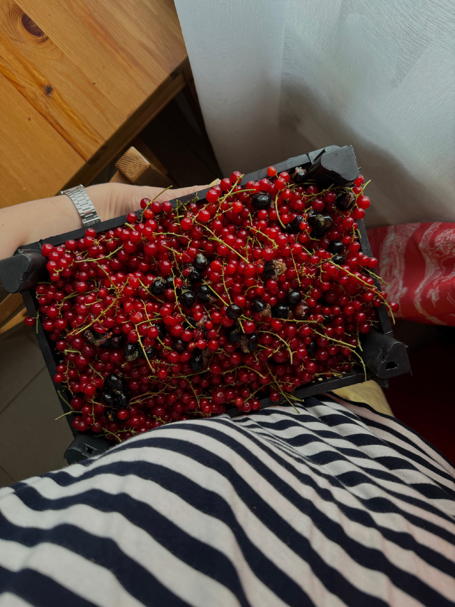 Веточки снимать не нужно, готовим джем прямо с ними:)