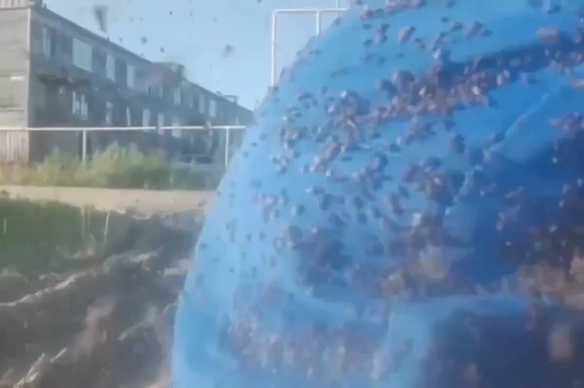    Видео Афанасия Тэсида.