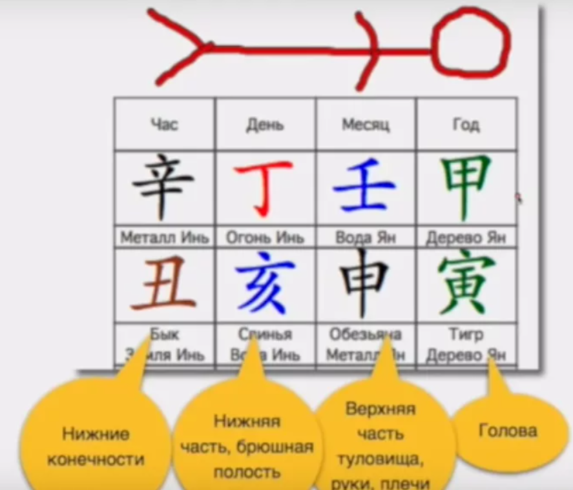 Столпы бацзы в теме здоровья