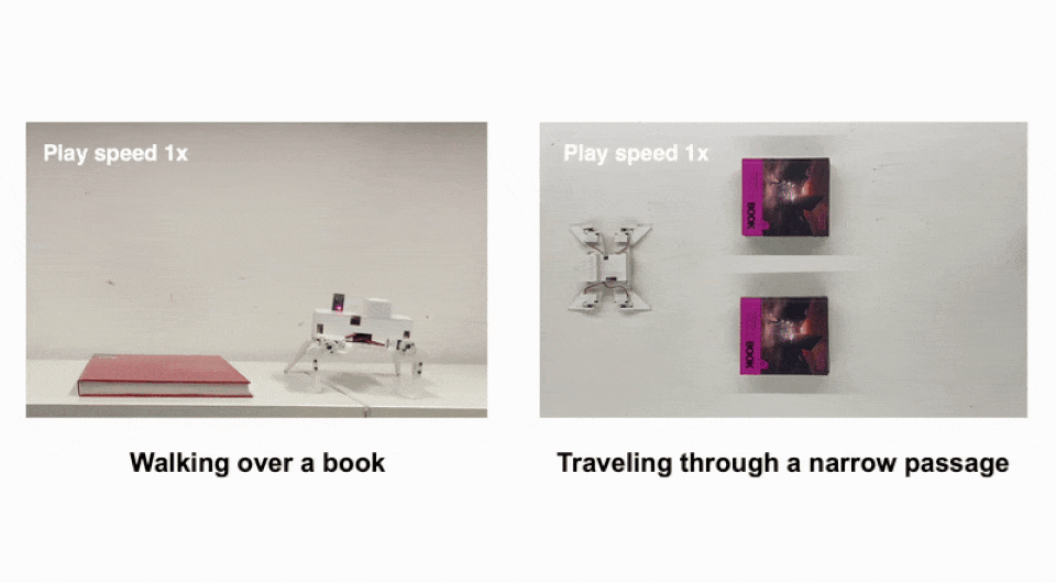   Yilun Sun / Advanced robotics research, 2025