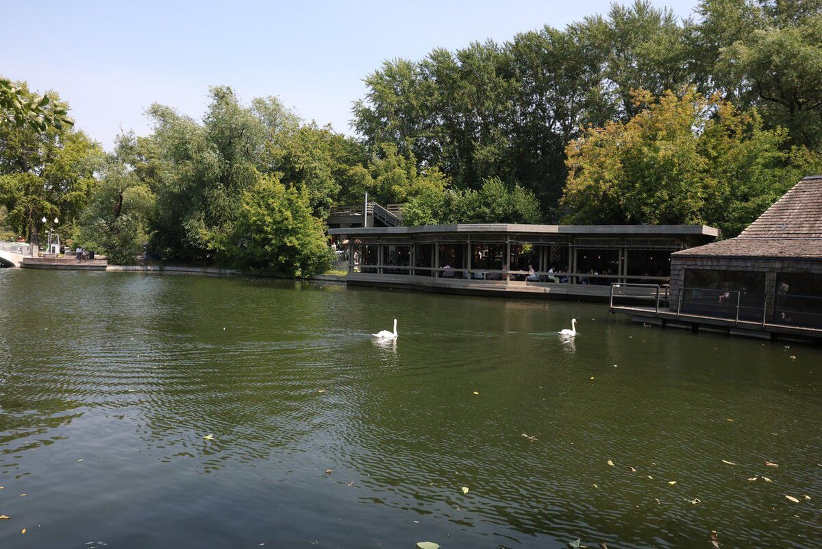 Голицынский пруд. @Елена Купцова