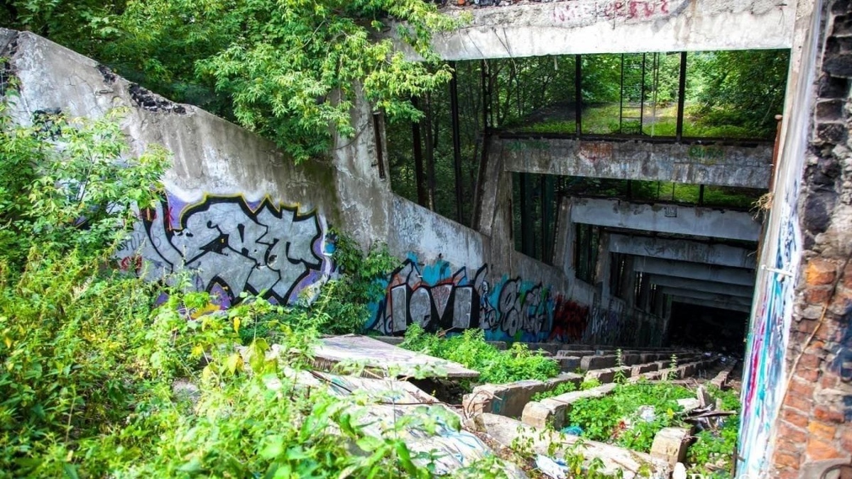 фото чужое из интернета