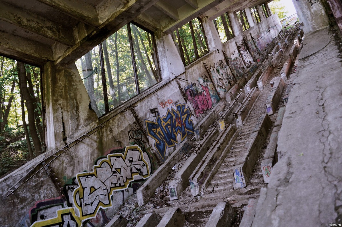 фото чужое из интернета