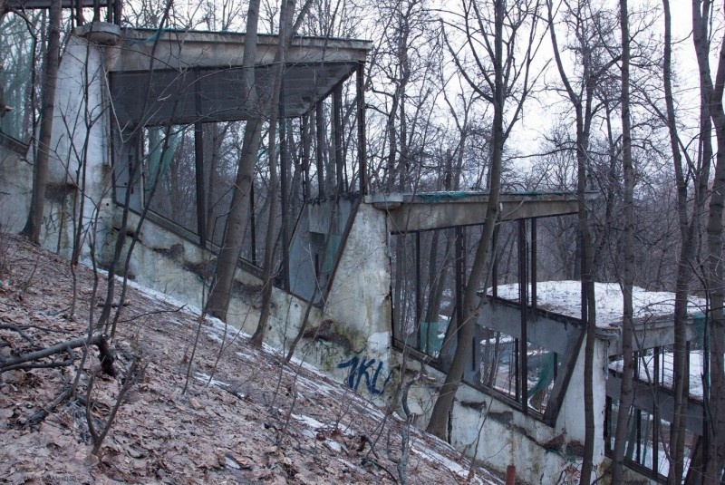 фото чужое из интернета