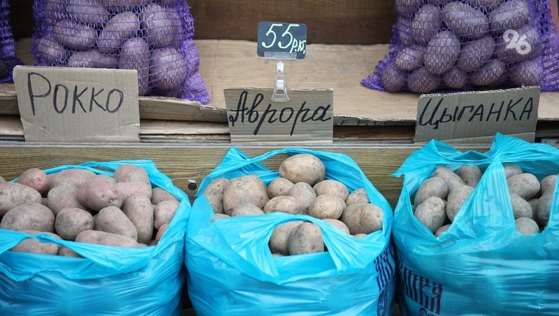      Фото: Дмитрий Ахмадуллин / / ИА «Победа26»