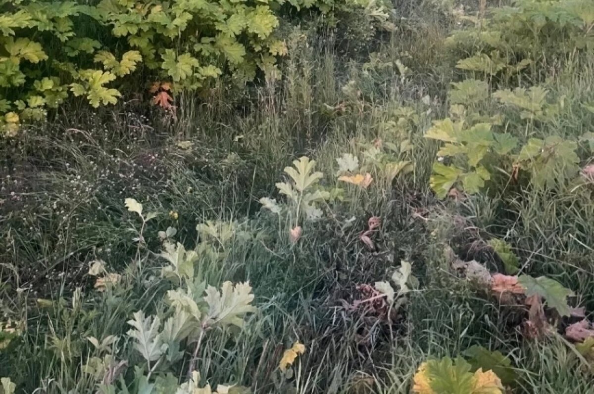    По вине пьяного водителя без прав в жёстком ДТП пострадал ребёнок