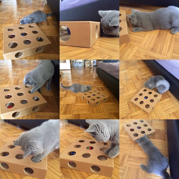 Игрушка, которую можно приобрести в зоомагазинах