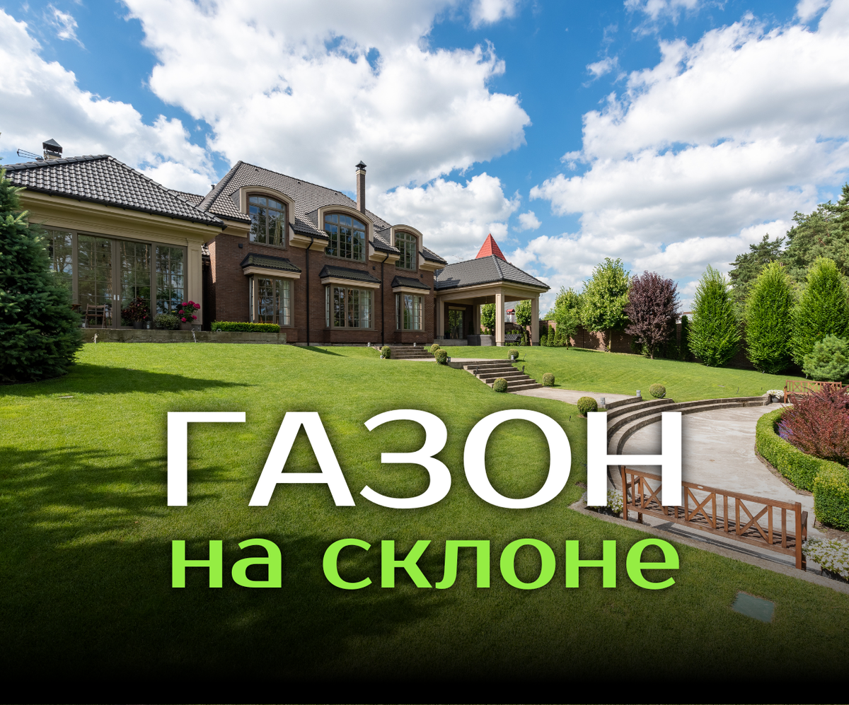 Советы по агротехники