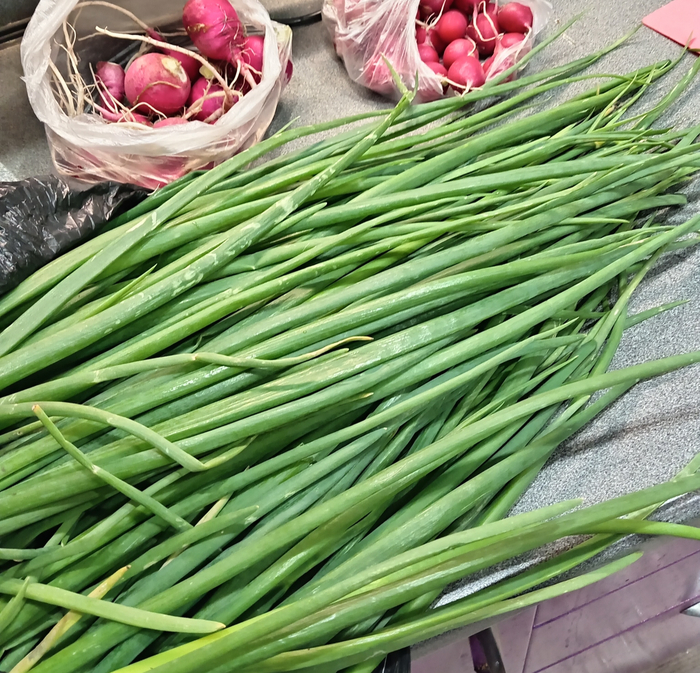 Вот вам давняя фотка лука и редиски. Вторая редиска выросла гораздо вкуснее чем первая. А лук - отличный весь!
