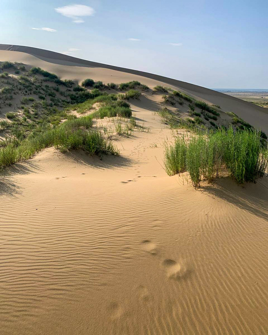 Александра Гузева