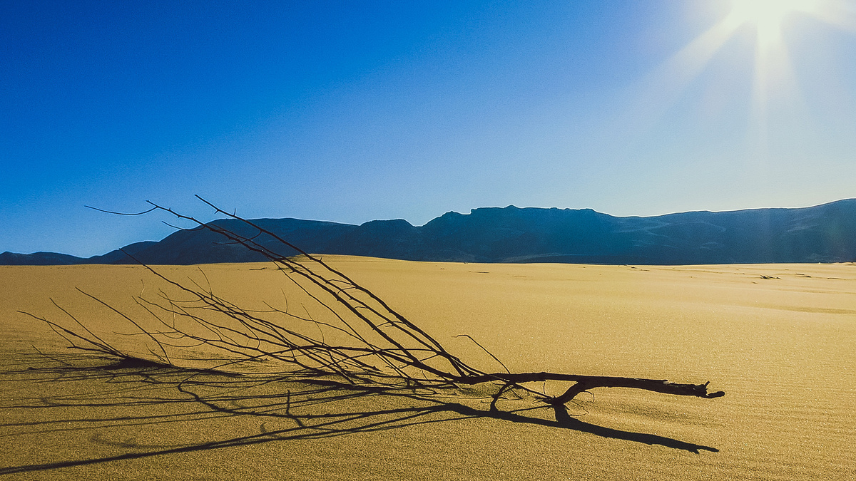 Suleymannabiev (CC BY-SA 4.0)