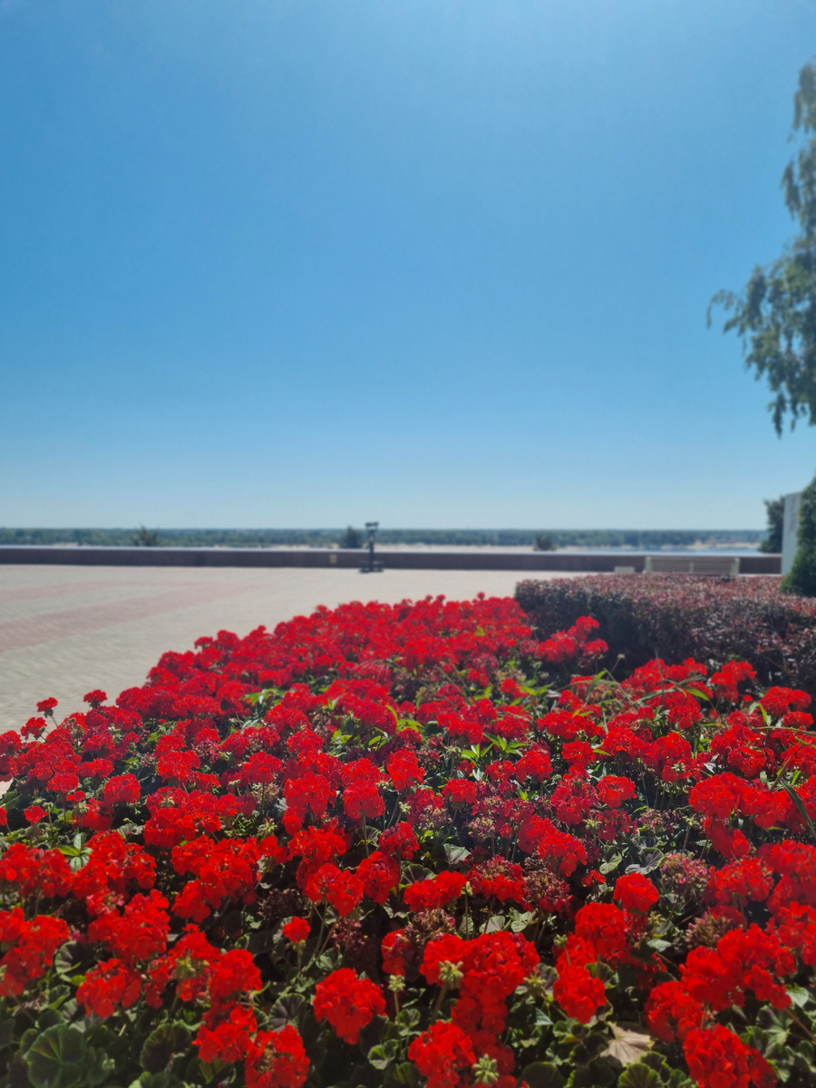 Сражения шли на земле, в воде и в воздухе. Фото: Зеленая леди, сад, семья и томатный сок