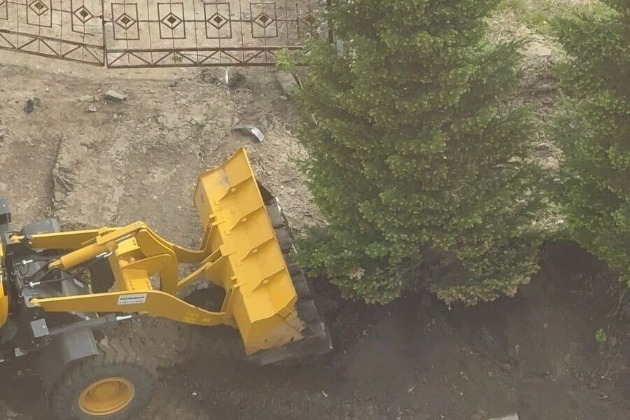     Автор: Издание «Прецедент»