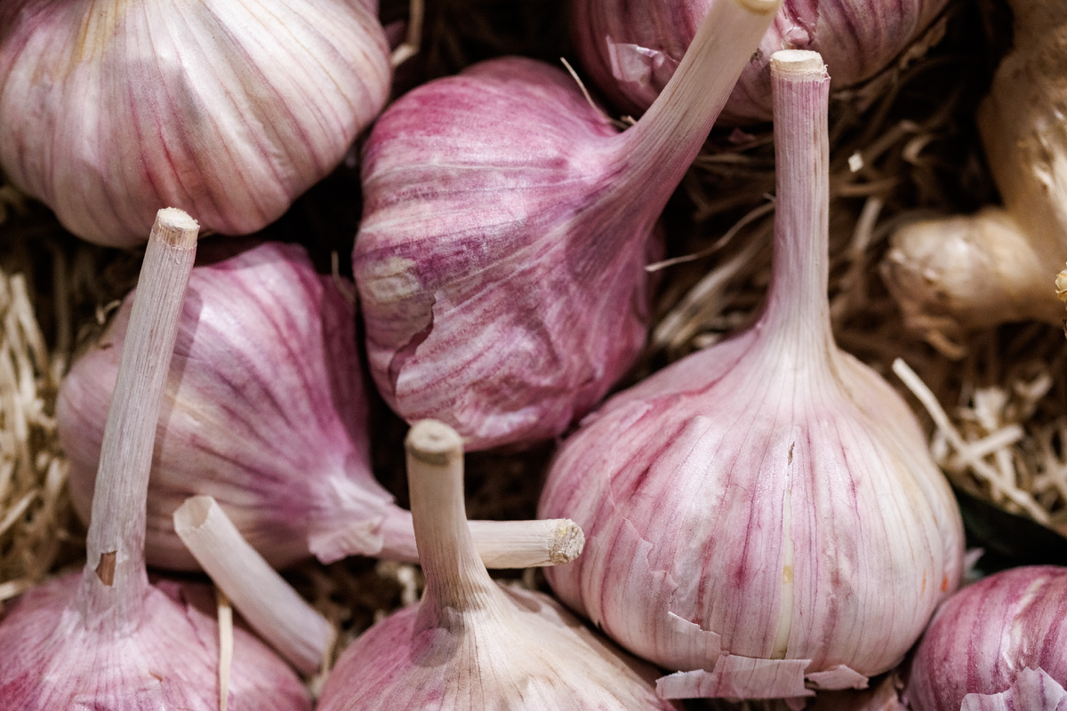 Фото: © Sergey Elagin/ Business Online/ Global Look Press