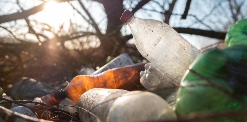 Фото: freepik / frimufilms