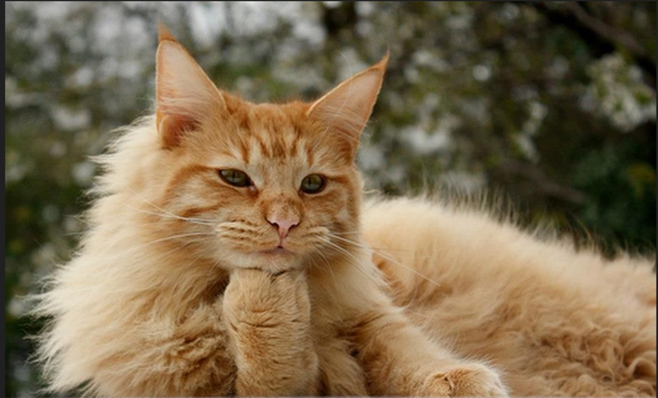 С просторов инета