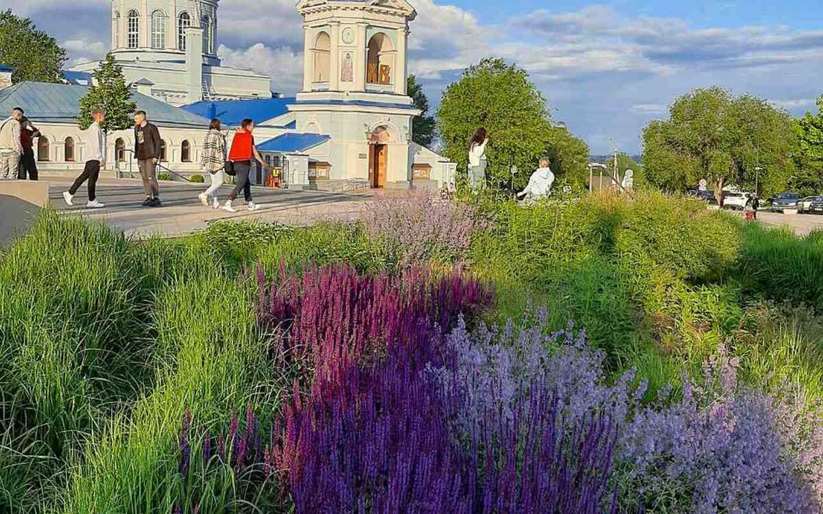    84% воронежцев требуют новых зеленых насаждений в городе автора