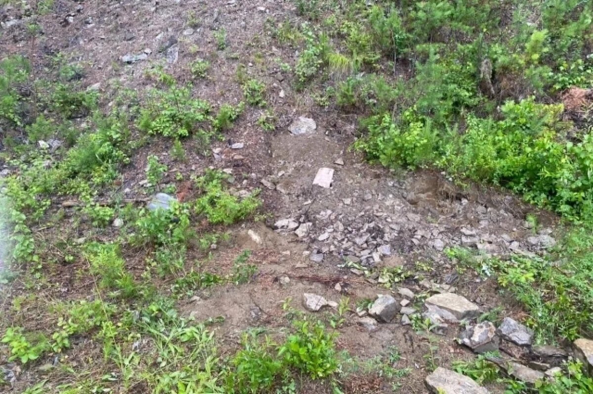    Парень убил и похоронил и на участке свою девушку под Иркутском