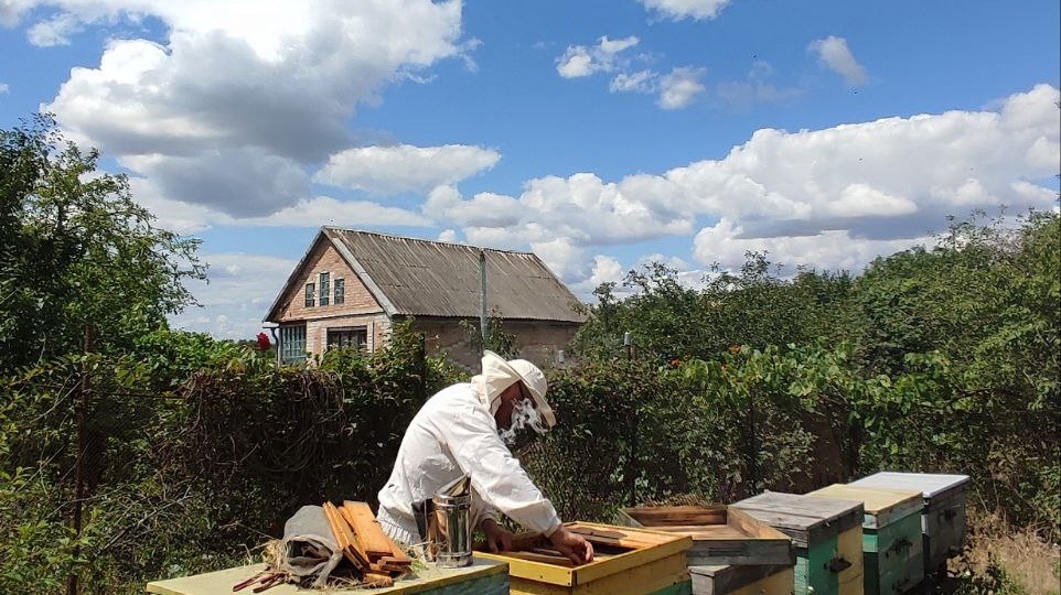 О подкормке пчел в безвзяточный период.