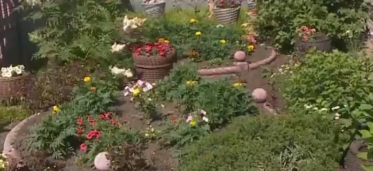     В Советском районе Красноярска показали лучшие палисадники