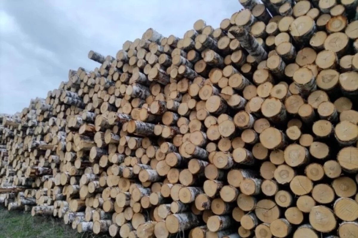    Свыше 7 тыс. куб. лесоматериалов экспортировала Удмуртия в Казахстан