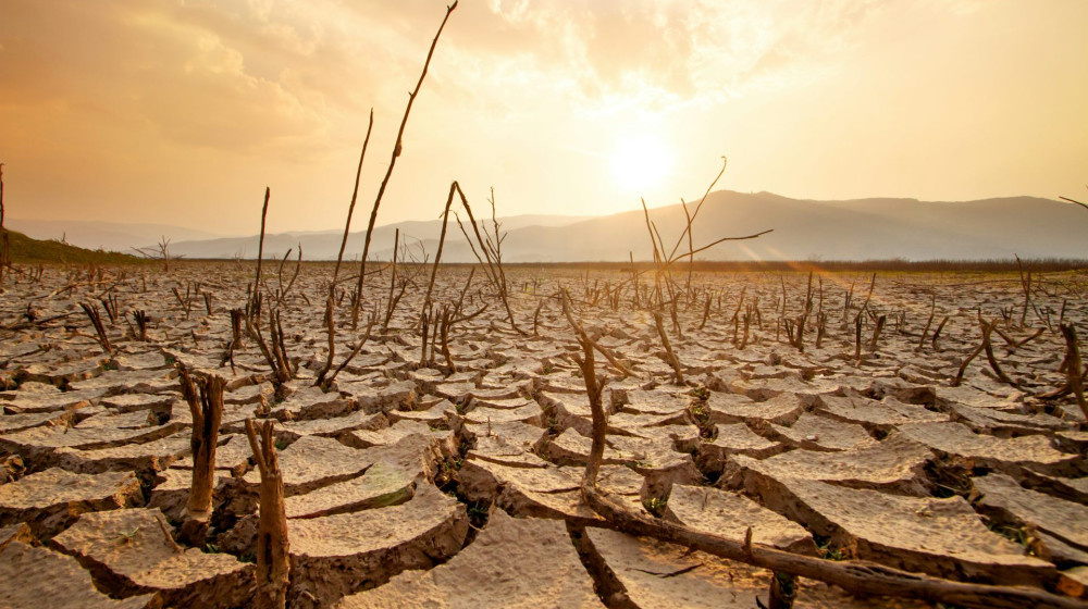    Россия в огне почему засухи стали новой нормой