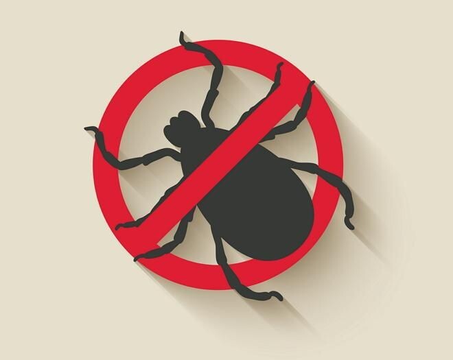 Фото: ru.pinterest.com