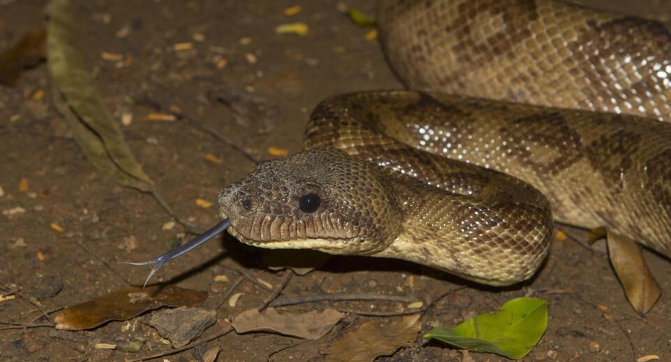    Dr. Alexandra Laube/imageBROKER.com / www.globallookpress.com