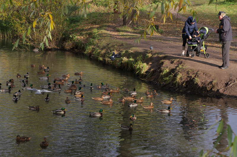 Фото Владимира Чучадеева.