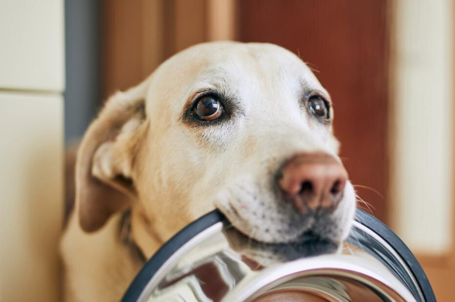    Shutterstock/FOTODOM